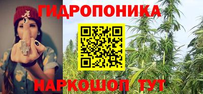 гашик Кинель