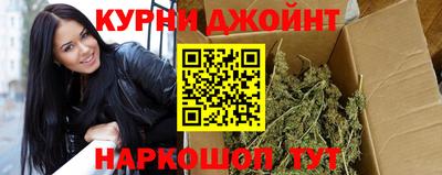 гашик Кинель