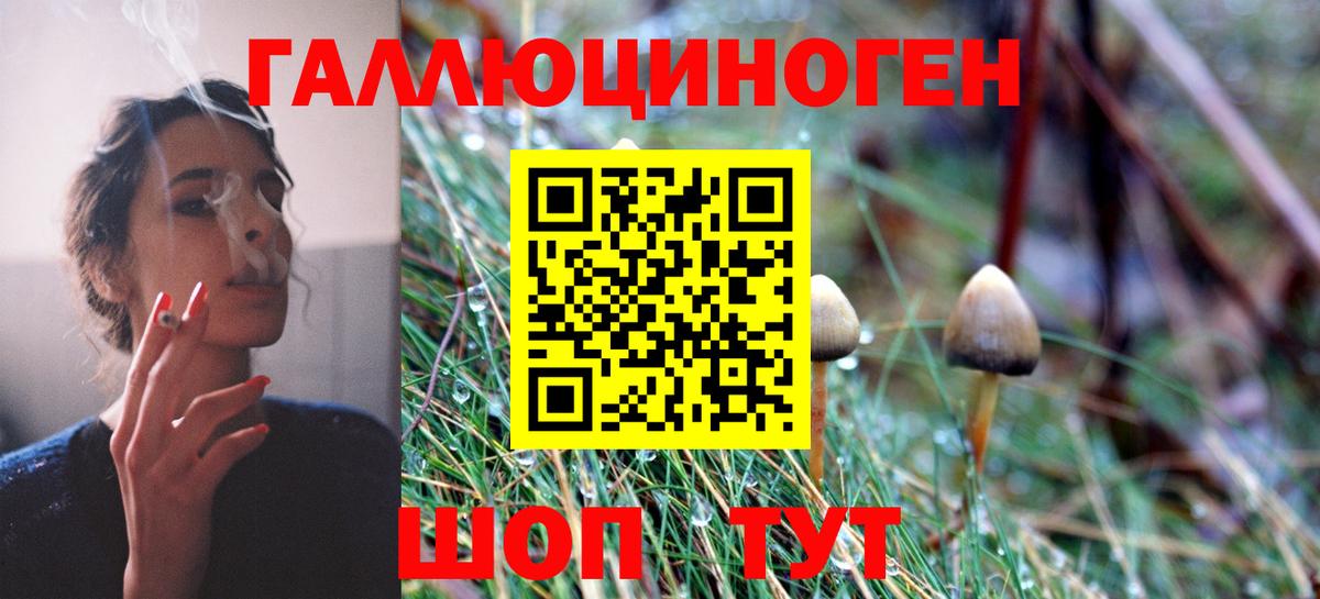 Галлюциногенные грибы Psilocybe  Псилоцибиновые грибы ЛСД  Красноярск  Вход с VPN 